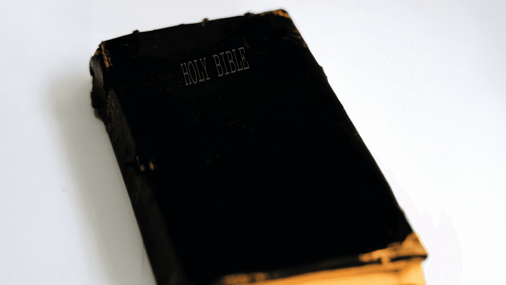 Holy Bible