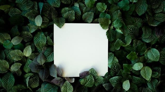 Illustrator Facebook Ad Template