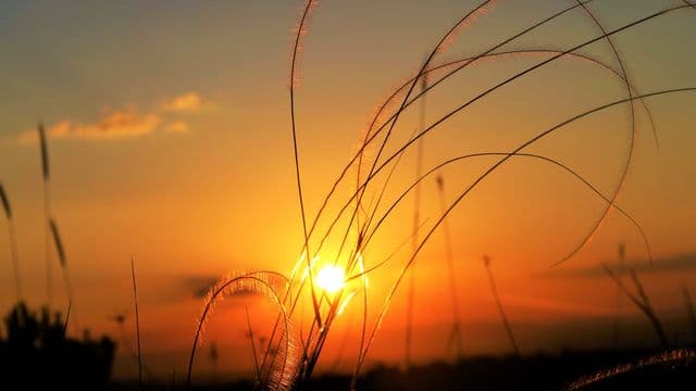 Illustrator Facebook Ad Template