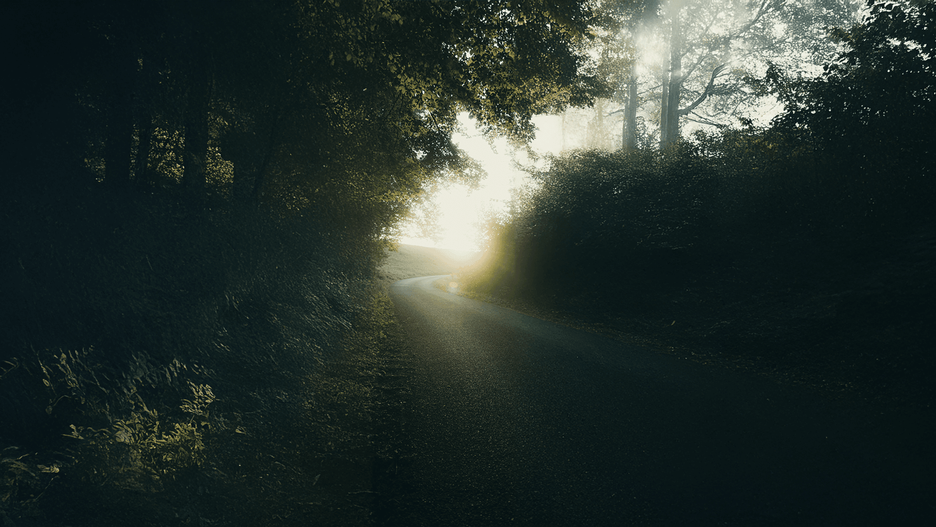 Road Nature