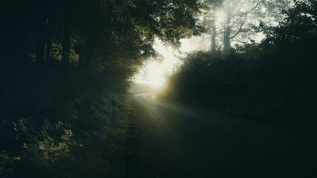 Road Nature