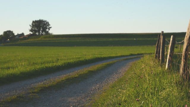 Illustrator Facebook Ad Template