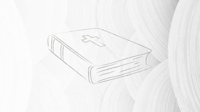 Illustrator Facebook Ad Template