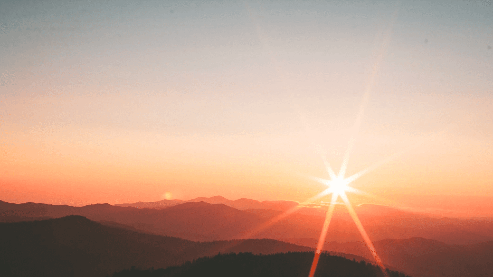The Antidote for the Anxiety