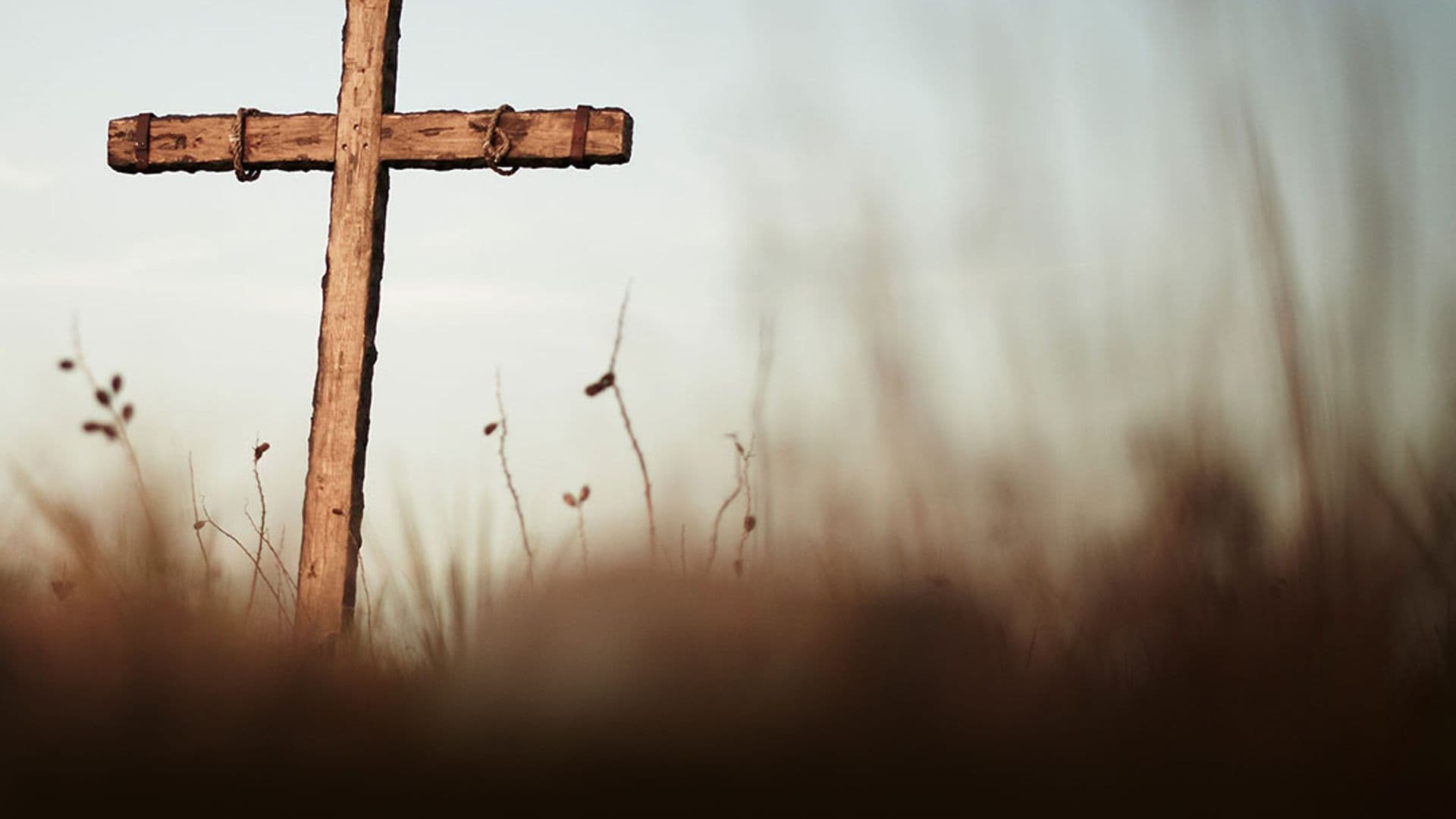 The-Cross-Quote-back