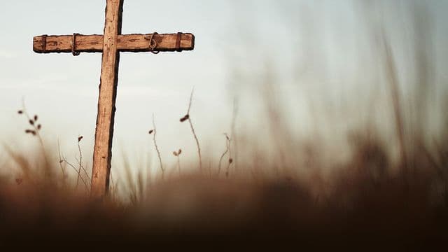 The-Cross-Quote-back