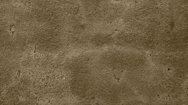 Wall