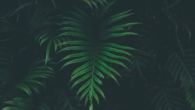 Illustrator Facebook Ad Template
