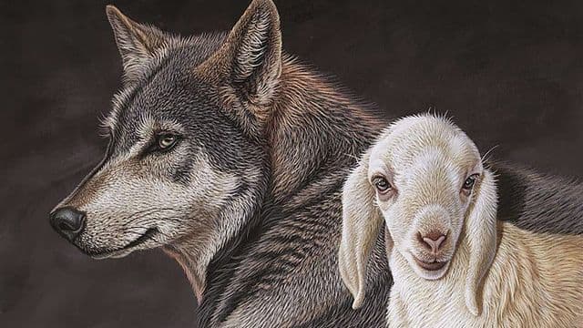 Wolf-and-Lamb-CROP