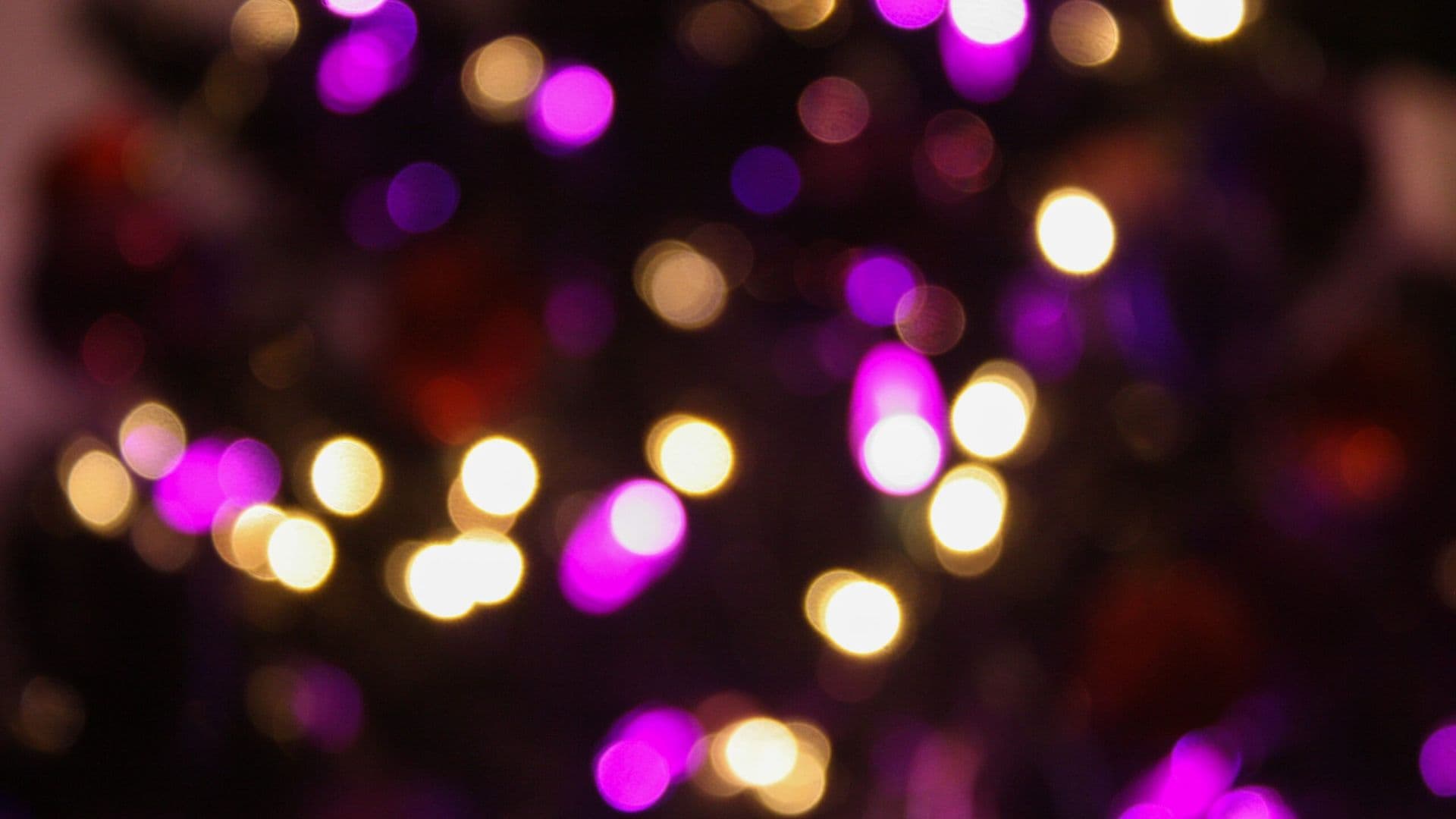 bokeh-553503