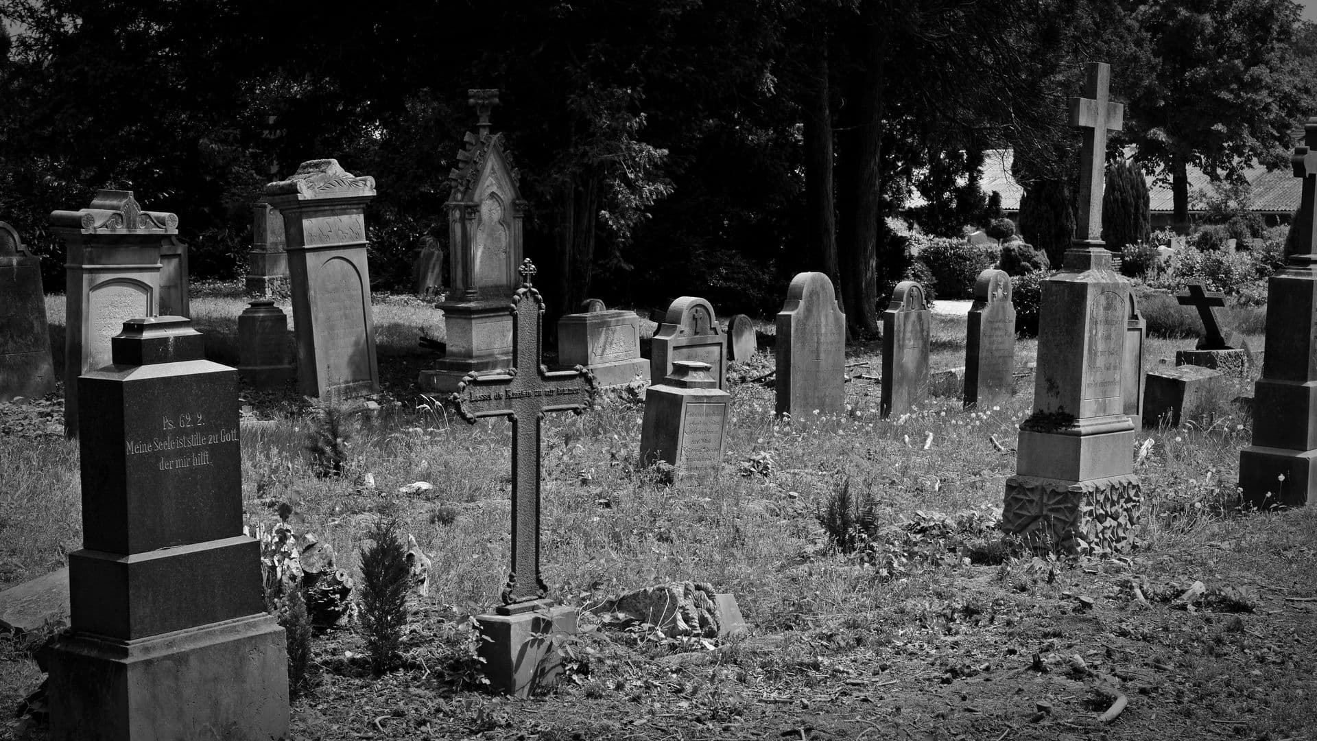 cemetery-1538646
