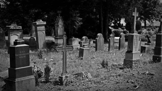 cemetery-1538646