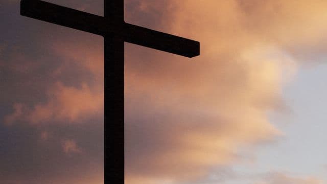 cross-1149878