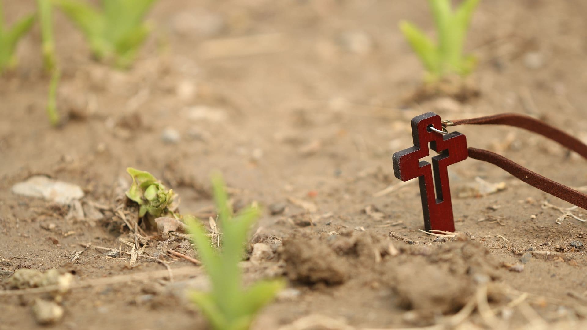 cross-1400020