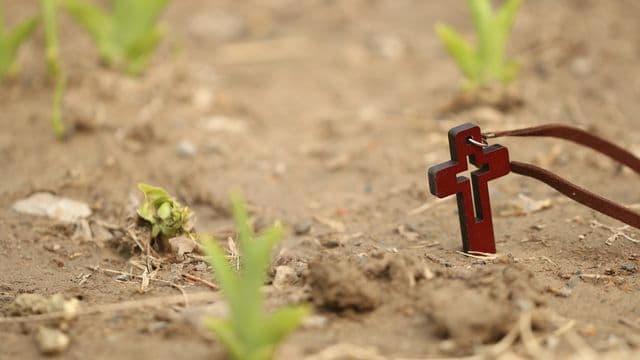 cross-1400020