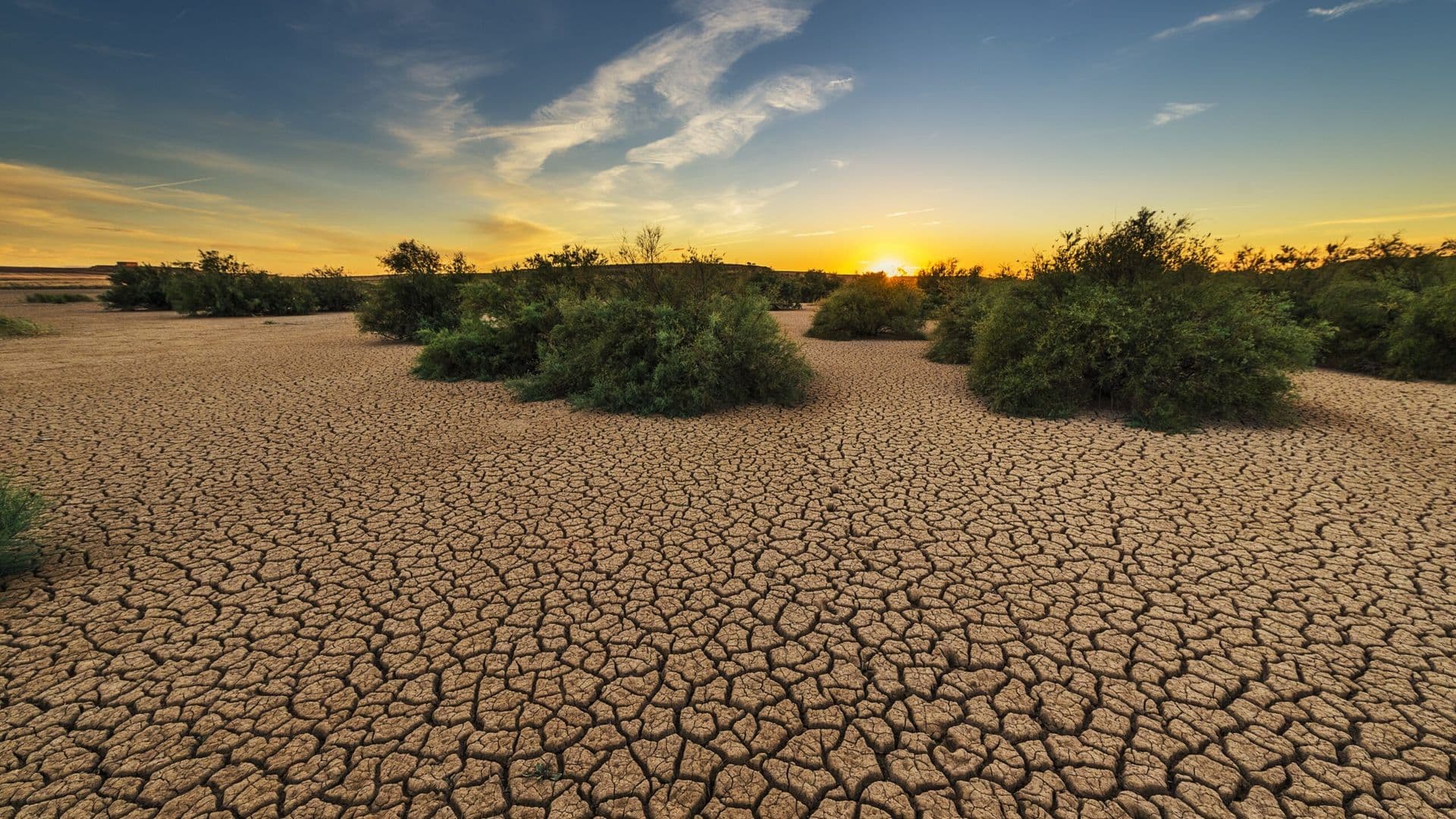drought-1675729