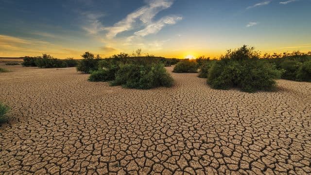 drought-1675729