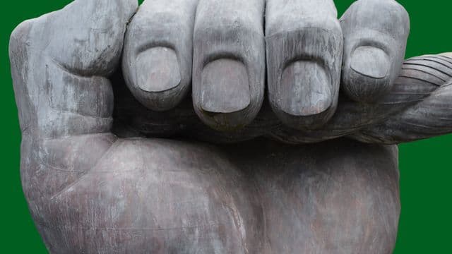 fingers-1263375