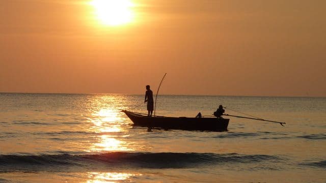 fishing-at-sunset-209112