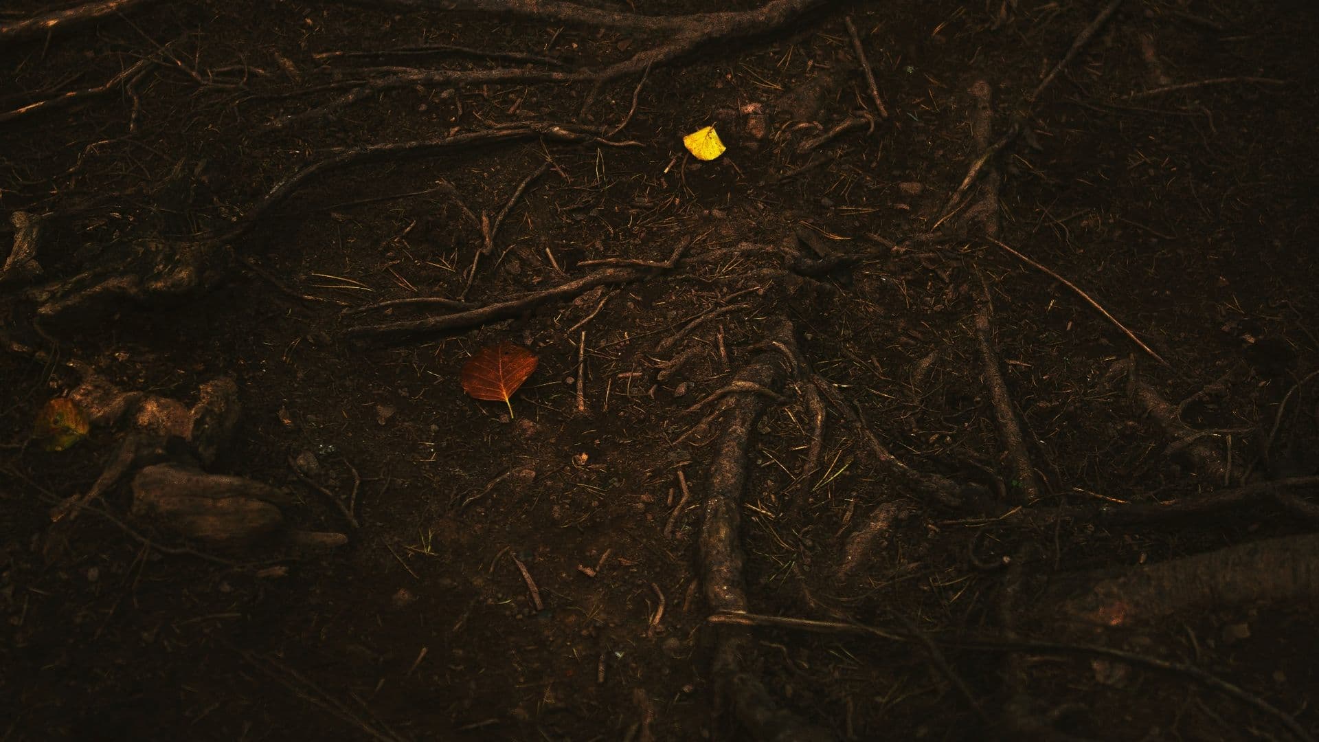 ground