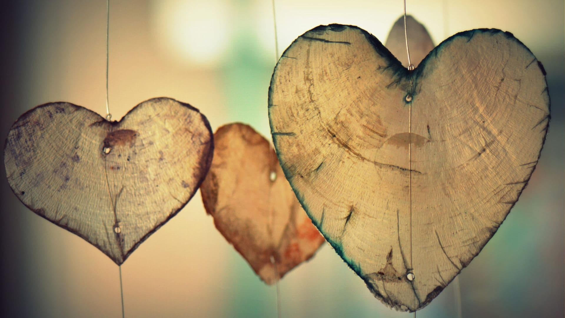 heart-700141