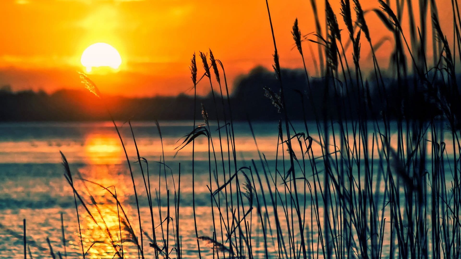 lake-696098