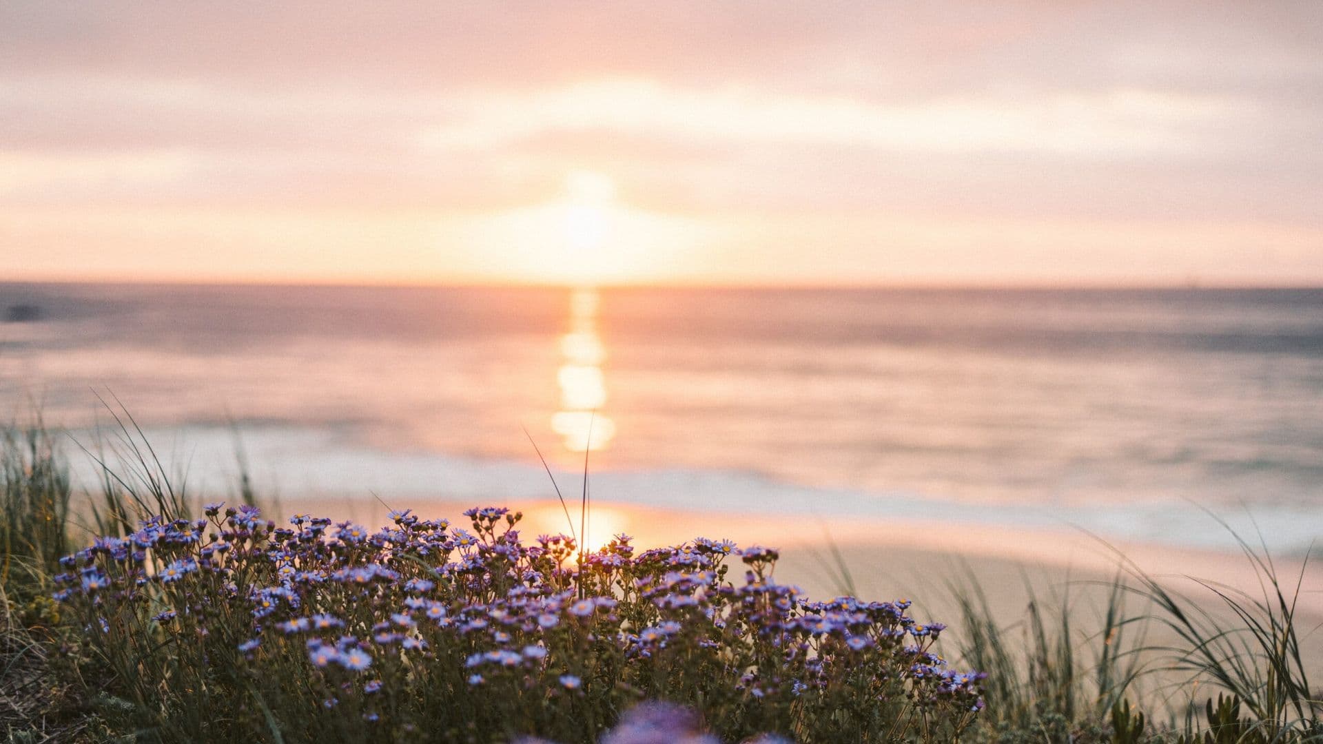 nature-6723133