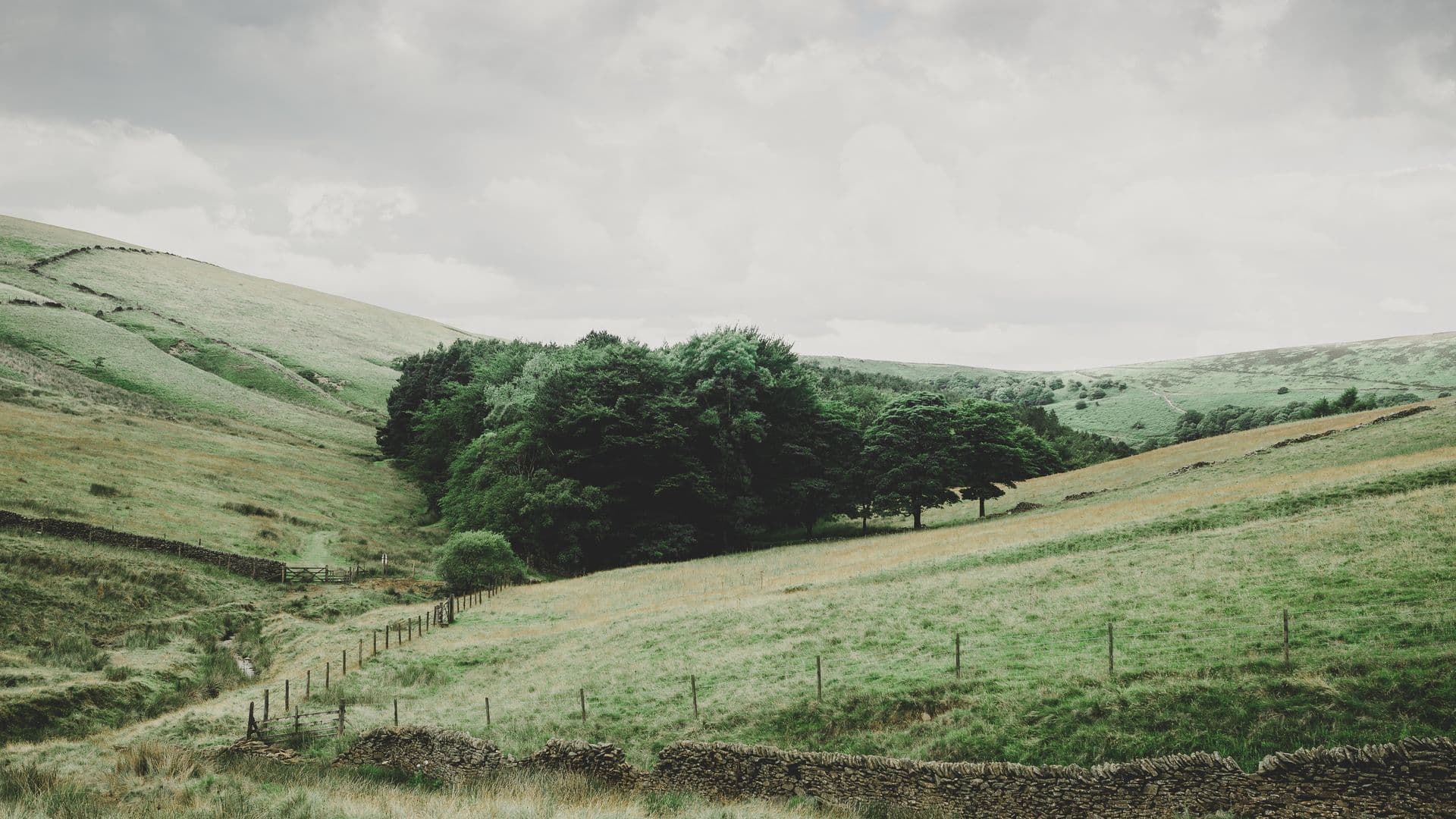 pasture-1246600