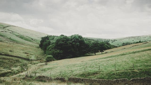 pasture-1246600