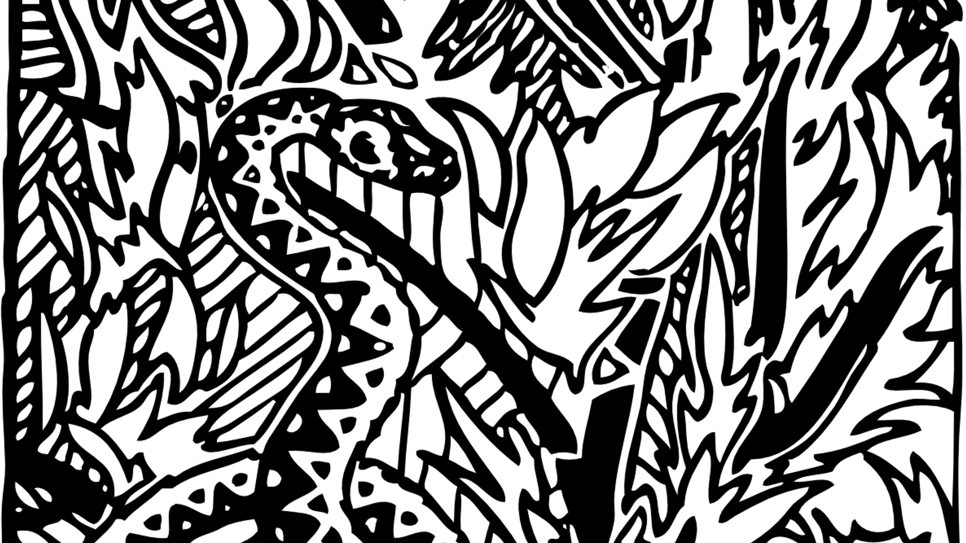 python-35433