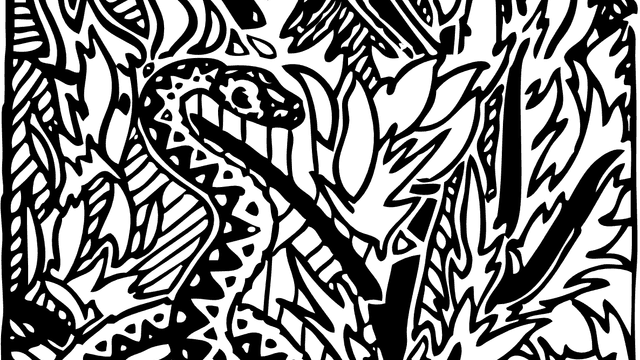 python-35433