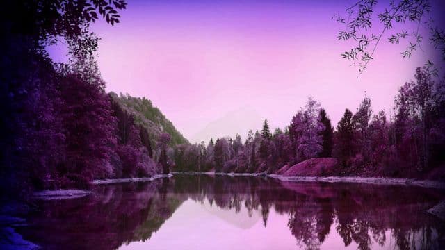 riparian-zone-1691528