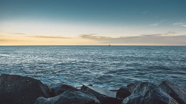 sea-1031470