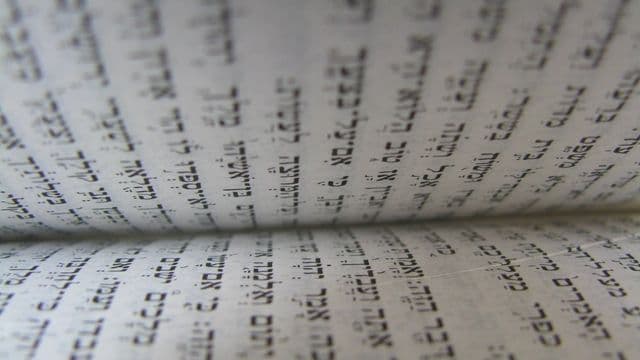 torah-89074