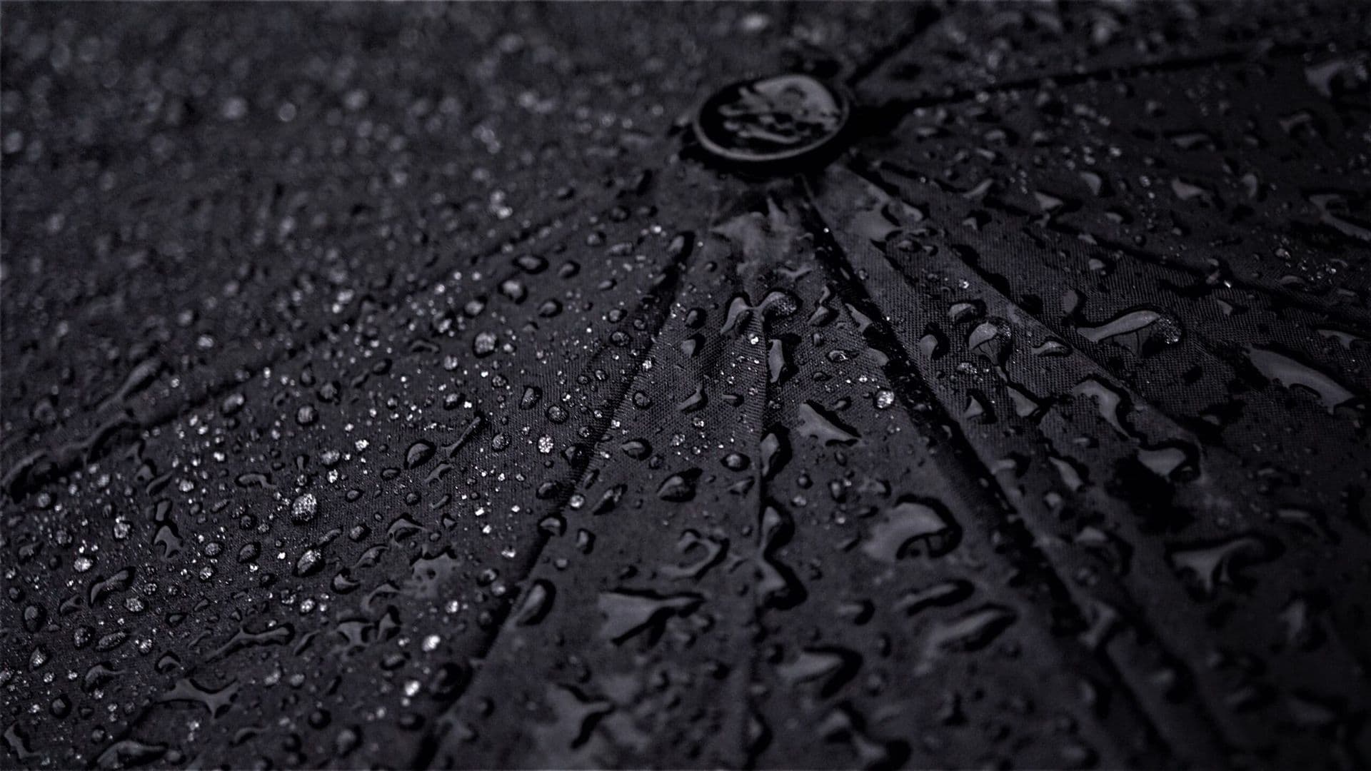 umbrella-4692572