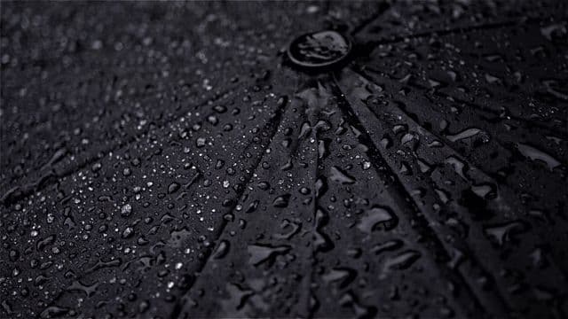 umbrella-4692572
