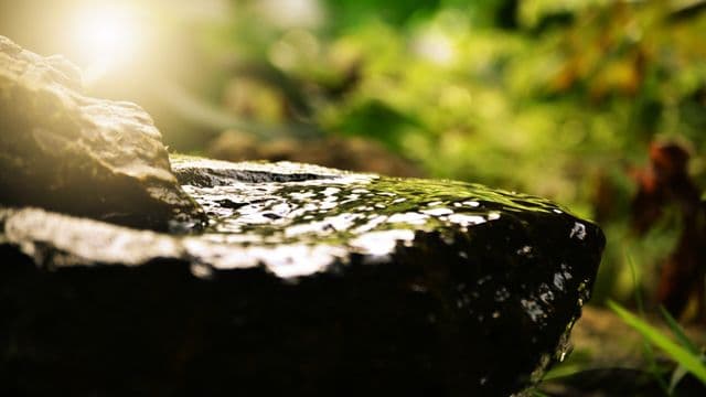 water-427536