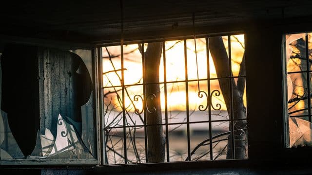window-1861888